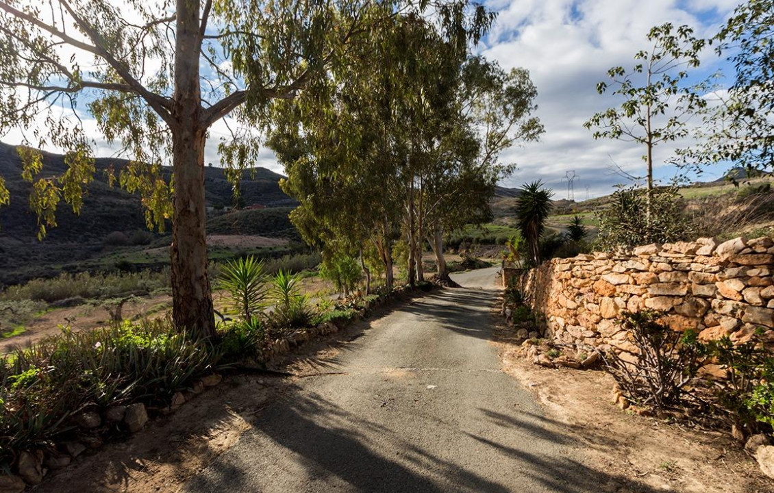 Venta - Fincas y solares - Mazarrón - Cañada de Egea