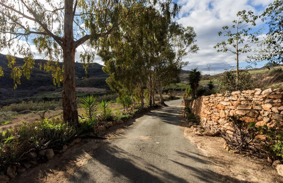 Venta - Fincas y solares - Mazarrón - Cañada de Egea