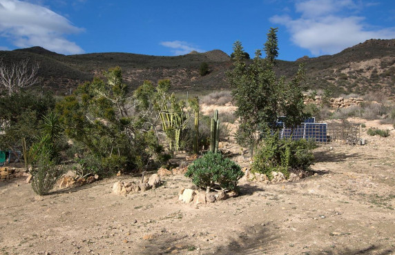 Venta - Fincas y solares - Mazarrón - Cañada de Egea