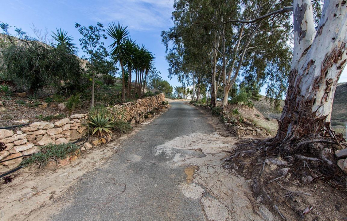 Venta - Fincas y solares - Mazarrón - Cañada de Egea