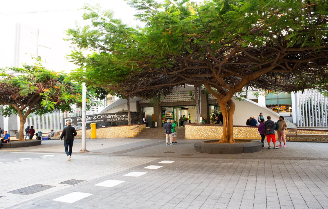 Venta - Negocios - Las Palmas de Gran Canaria - GALICIA