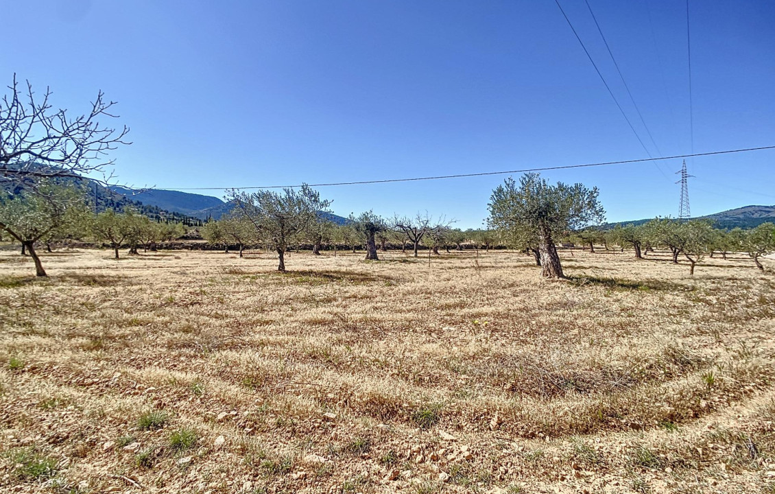 Venta - Fincas y solares - Castalla - PILETES, POLIG, 1. PARCELA