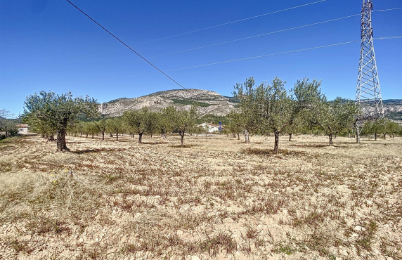 Venta - Fincas y solares - Castalla - PILETES, POLIG, 1. PARCELA