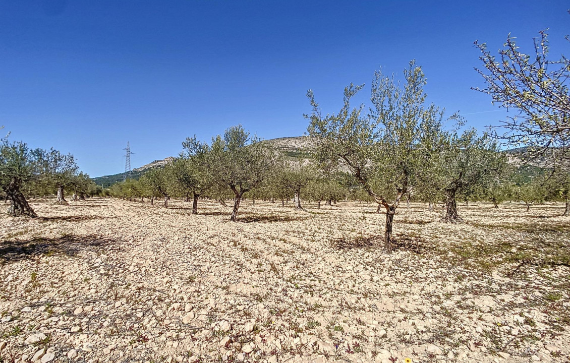 Venta - Fincas y solares - Castalla - PILETES, POLIG, 1. PARCELA