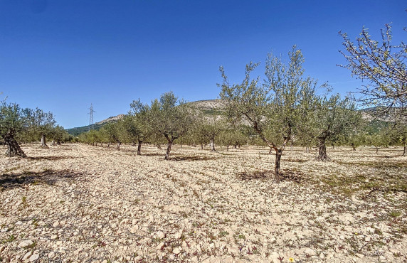 Venta - Fincas y solares - Castalla - PILETES, POLIG, 1. PARCELA