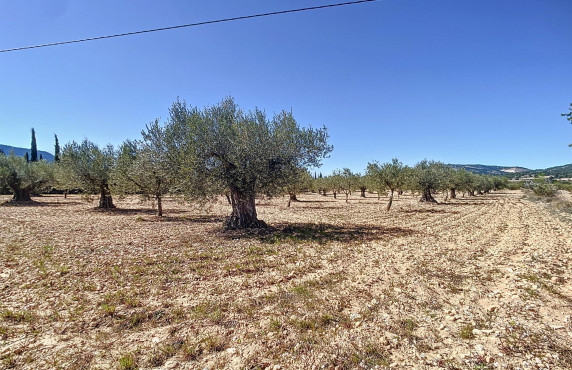 Venta - Fincas y solares - Castalla - PILETES, POLIG, 1. PARCELA