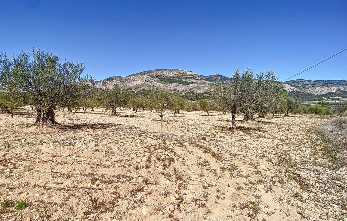 Venta - Fincas y solares - Castalla - PILETES, POLIG, 1. PARCELA