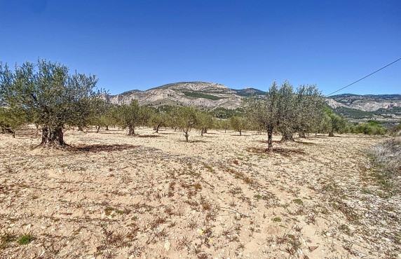 Venta - Fincas y solares - Castalla - PILETES, POLIG, 1. PARCELA