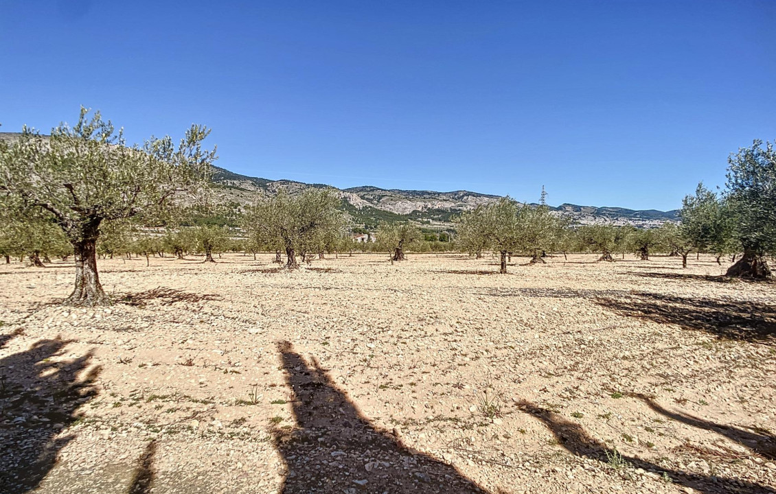 Venta - Fincas y solares - Castalla - PILETES, POLIG, 1. PARCELA