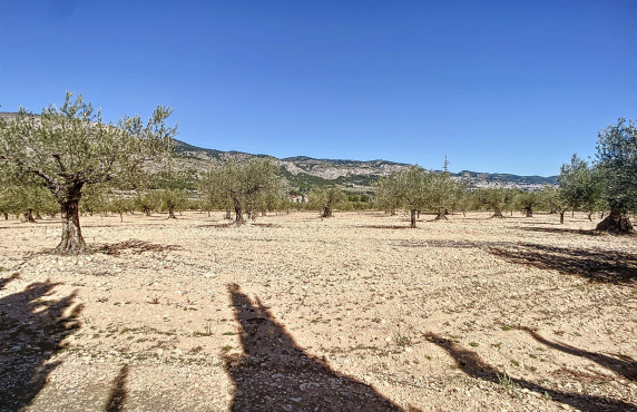 Venta - Fincas y solares - Castalla - PILETES, POLIG, 1. PARCELA