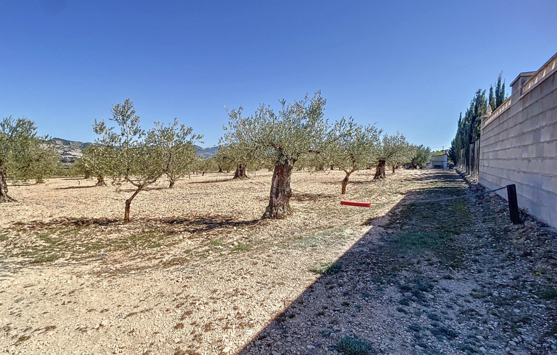 Venta - Fincas y solares - Castalla - PILETES, POLIG, 1. PARCELA