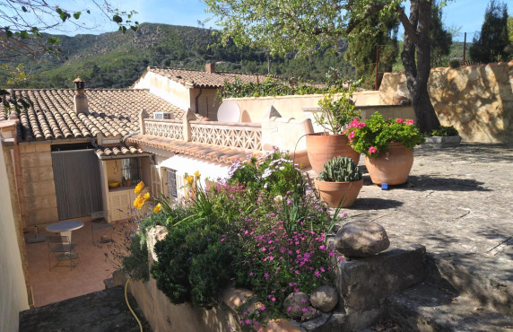 Venta - Casas o chalets - Andratx - S'ESTANYERA