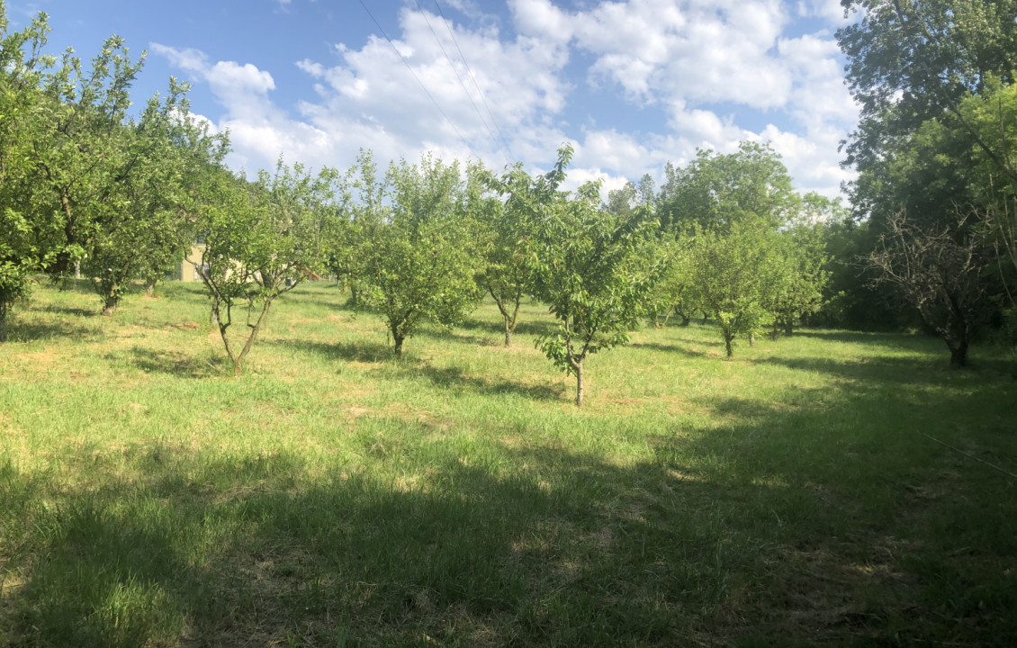 Venta - Fincas y solares - Valle de Mena - Ungo