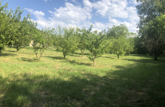 Venta - Fincas y solares - Valle de Mena - Ungo