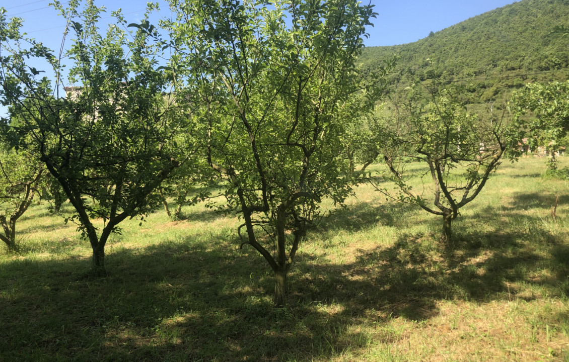 Venta - Fincas y solares - Valle de Mena - Ungo