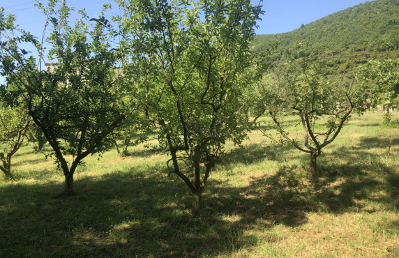 Venta - Fincas y solares - Valle de Mena - Ungo