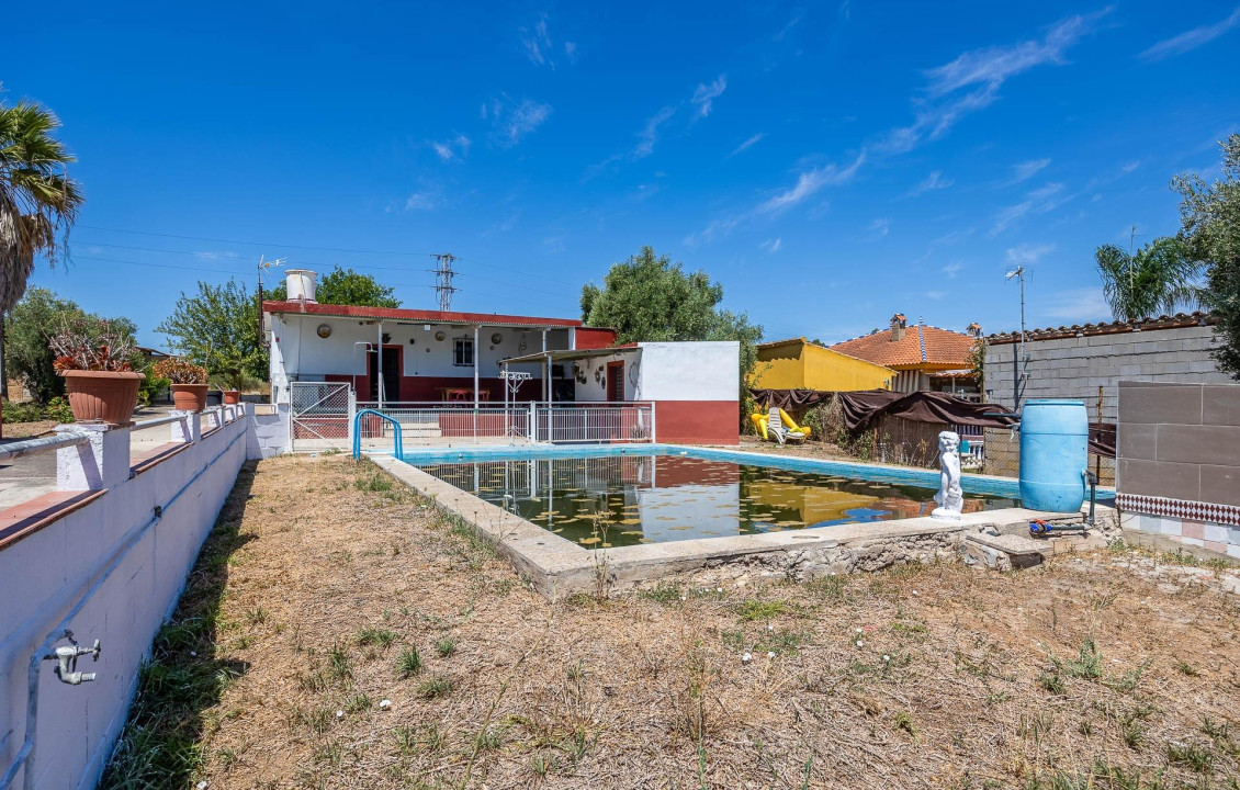 Venta - Casas o chalets - Almensilla - RIO PUDIO