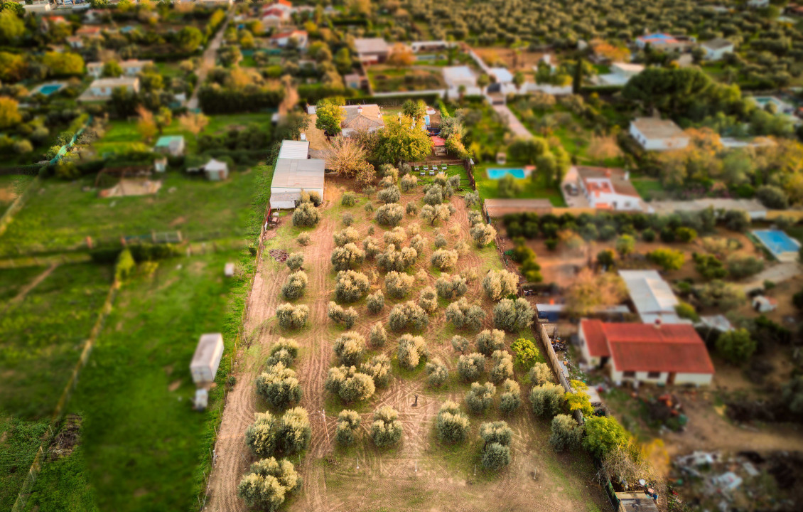 Venta - Casas o chalets - Utrera - Calle Trigo