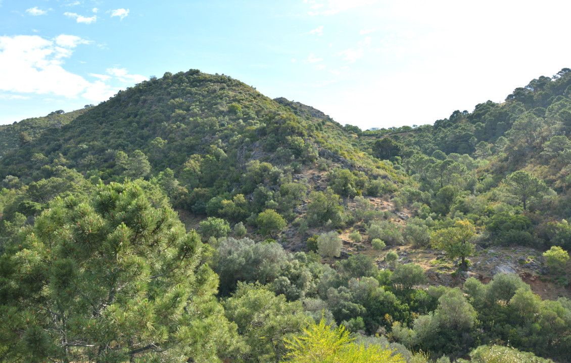 Venta - Fincas y solares - Benahavís - Urbanización Montemayor Alto