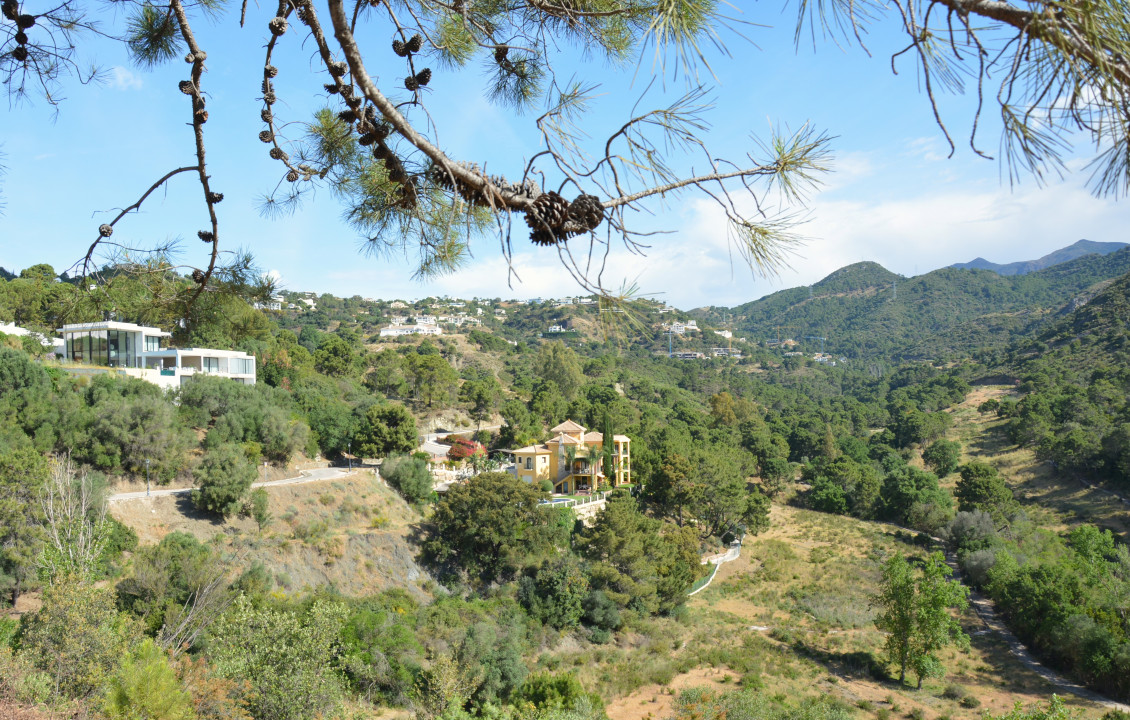 Venta - Fincas y solares - Benahavís - Urbanización Montemayor Alto