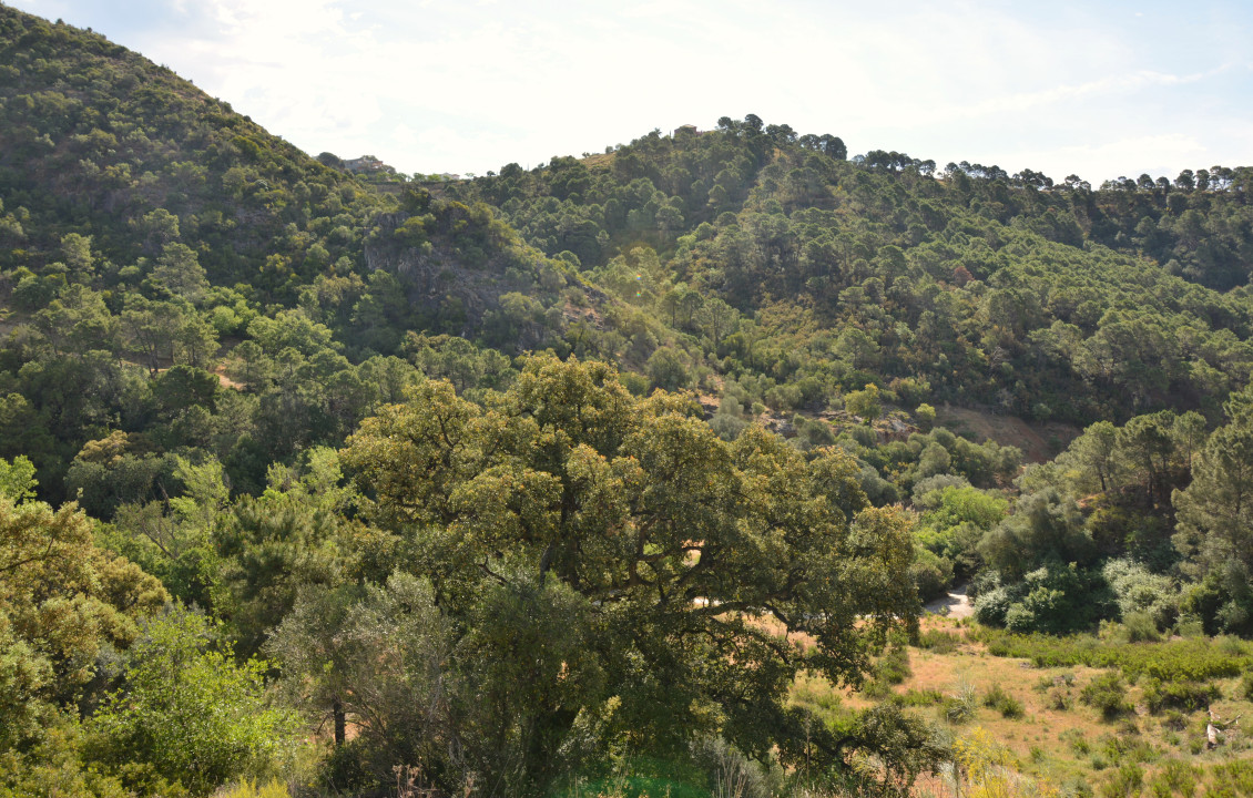 Venta - Fincas y solares - Benahavís - Urbanización Montemayor Alto