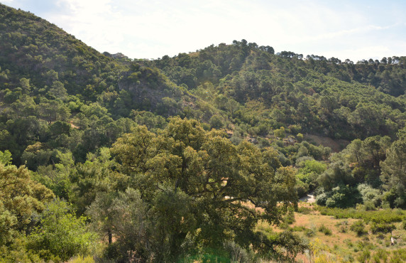 Venta - Fincas y solares - Benahavís - Urbanización Montemayor Alto