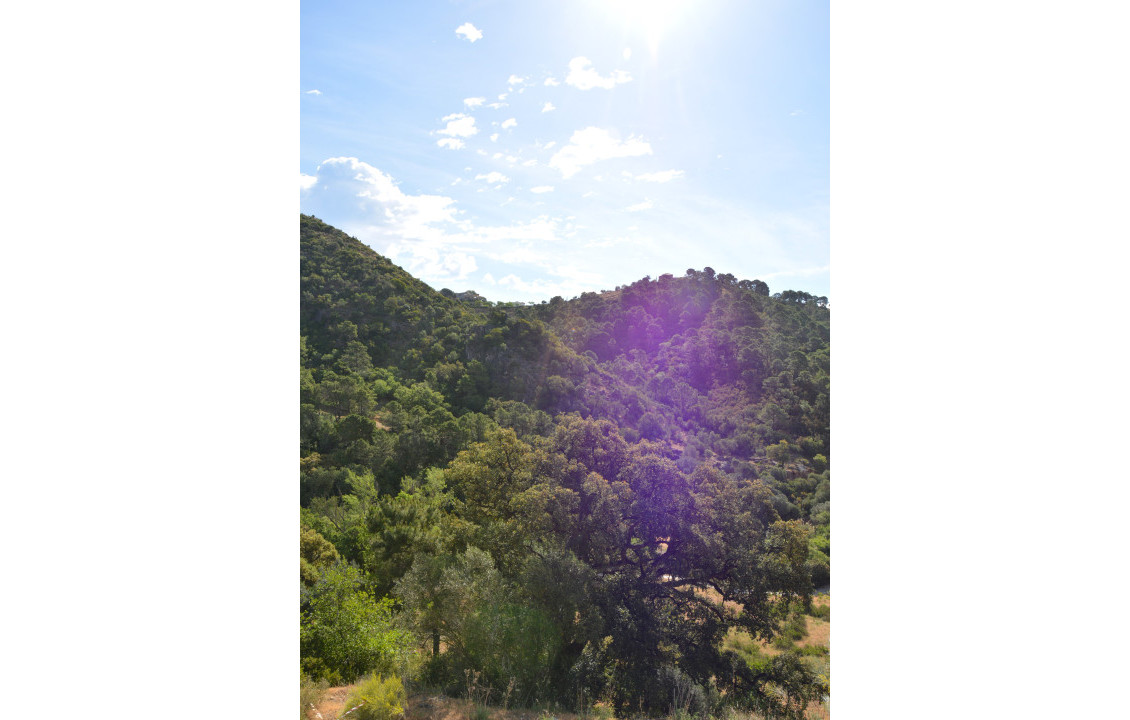 Venta - Fincas y solares - Benahavís - Urbanización Montemayor Alto