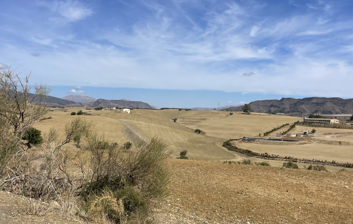 Venta - Fincas y solares - Cártama - Carretera de los Carril de la Loma