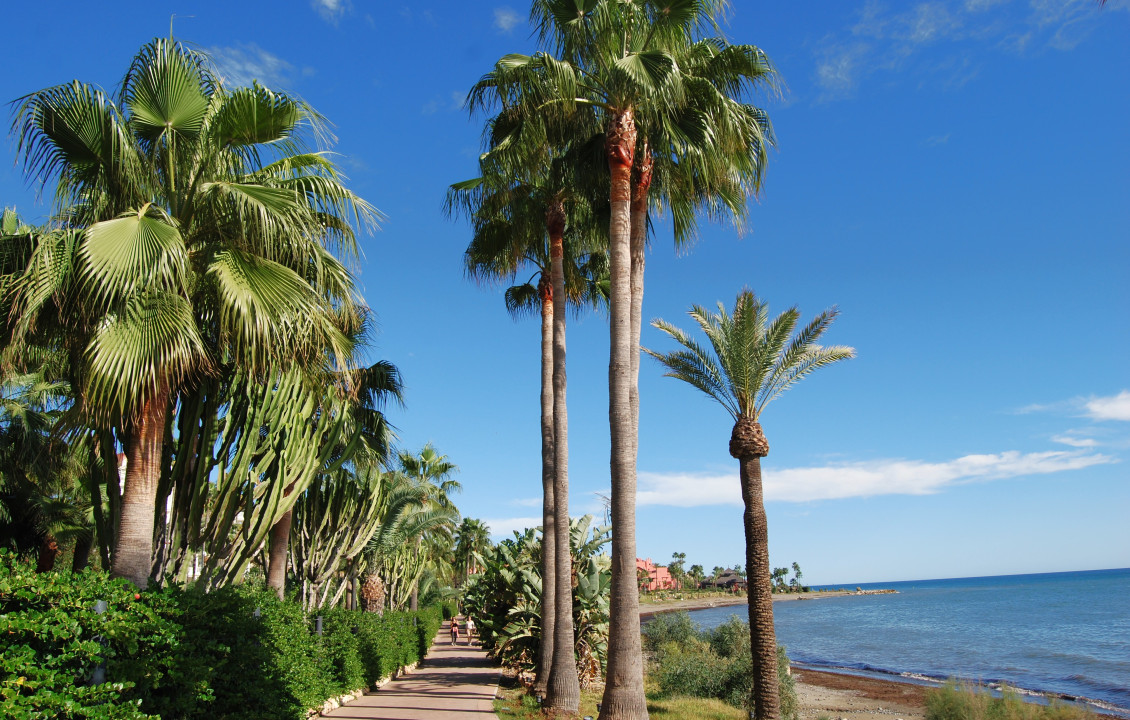 Venta - Pisos - Estepona - Avenida del Pirata