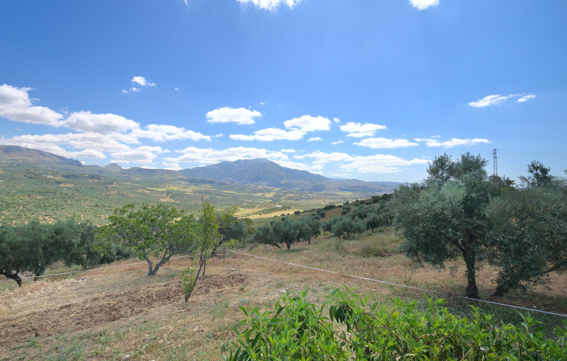 Venta - Casas o chalets - Periana - Cortijo Buenavista