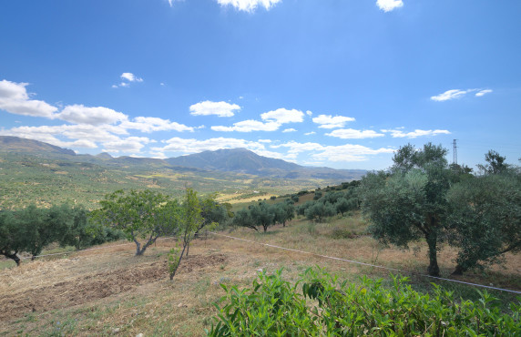 Venta - Casas o chalets - Periana - Cortijo Buenavista