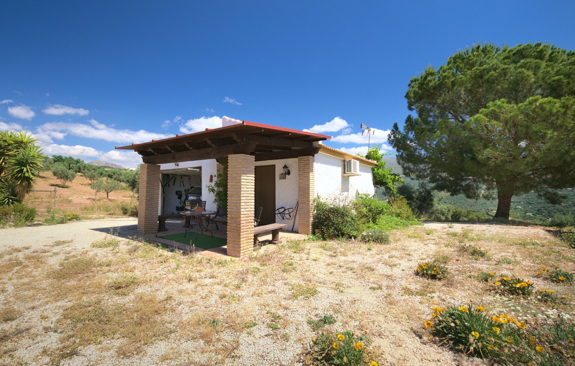 Venta - Casas o chalets - Periana - Cortijo Buenavista