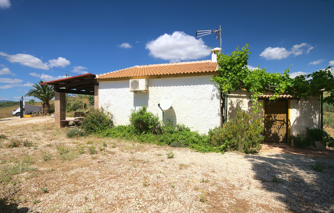 Venta - Casas o chalets - Periana - Cortijo Buenavista