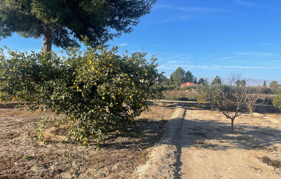 Venta - Casas o chalets - Torres de Cotillas Las - LOS RISOS