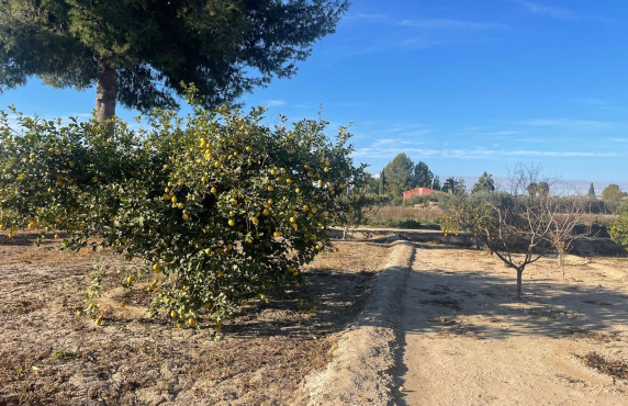 Venta - Casas o chalets - Torres de Cotillas Las - LOS RISOS