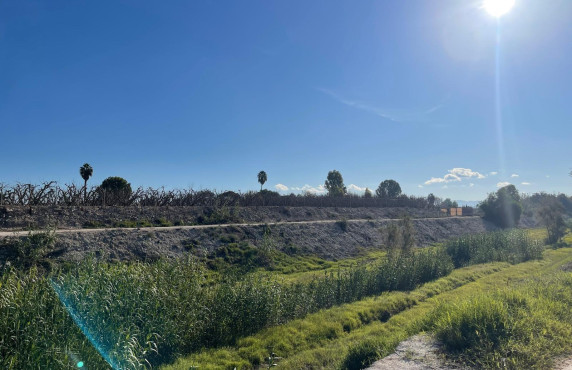 Venta - Casas o chalets - Torres de Cotillas Las - LOS RISOS