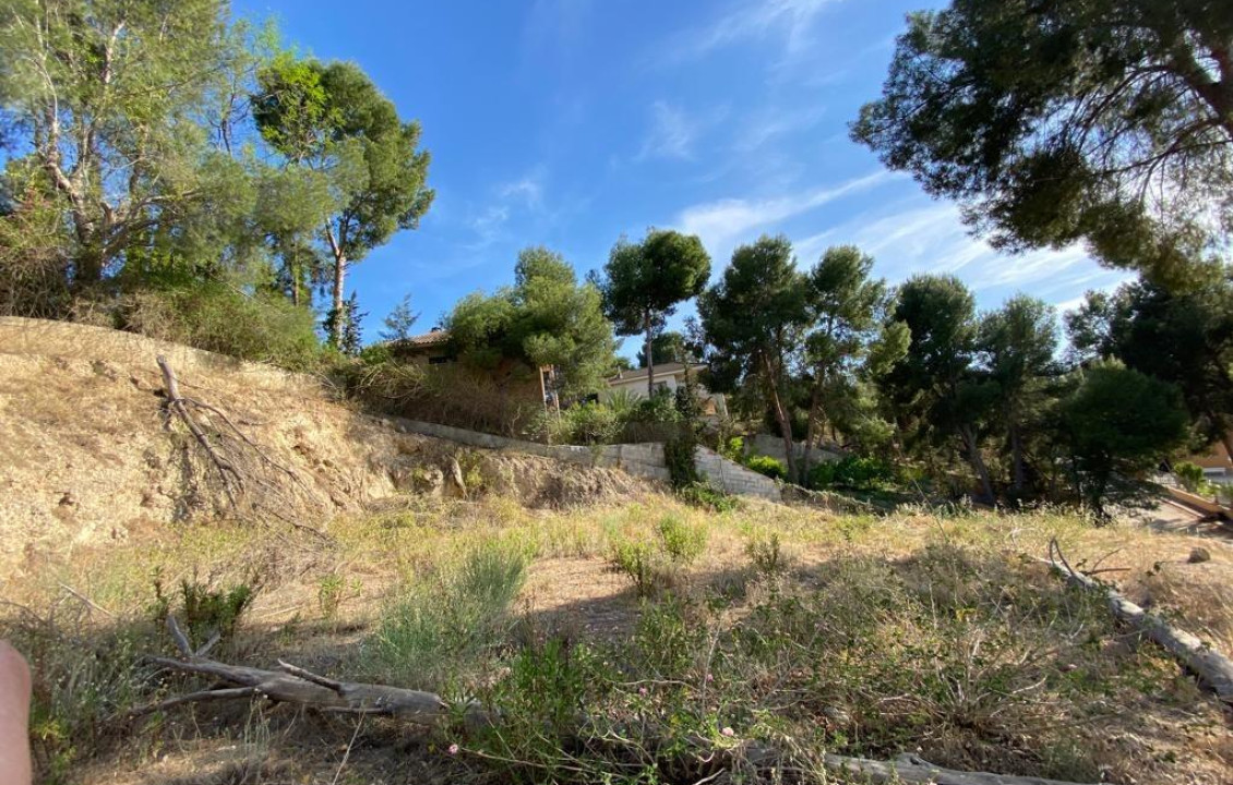 Venta - Fincas y solares - Las Torres de Cotillas - 1ª PARQUE PALMERAS