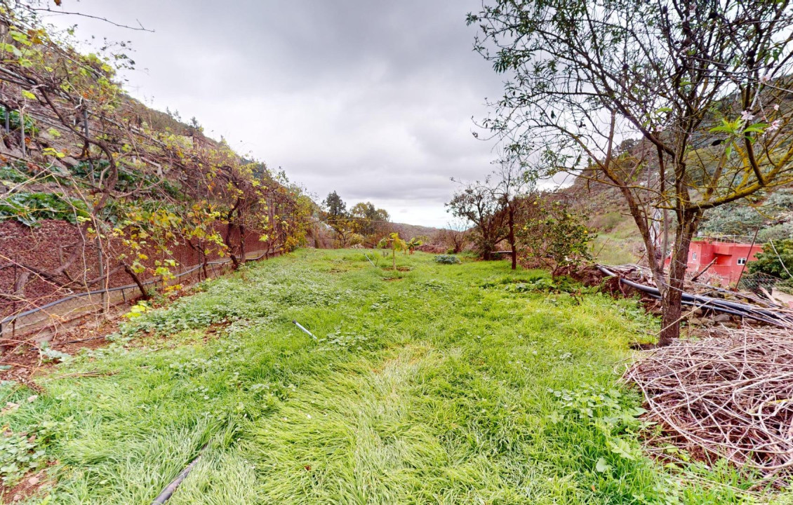 Venta - Fincas y solares - Santa Brígida - Cruz del Gamonal