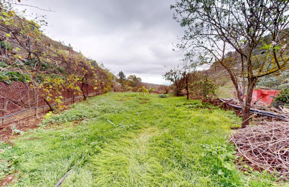 Venta - Fincas y solares - Santa Brígida - Cruz del Gamonal