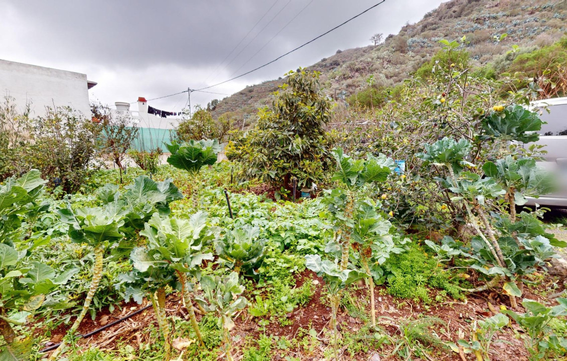 Venta - Fincas y solares - Santa Brígida - Cruz del Gamonal