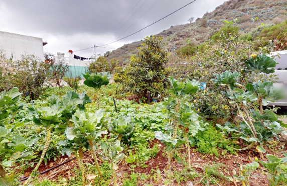 Venta - Fincas y solares - Santa Brígida - Cruz del Gamonal