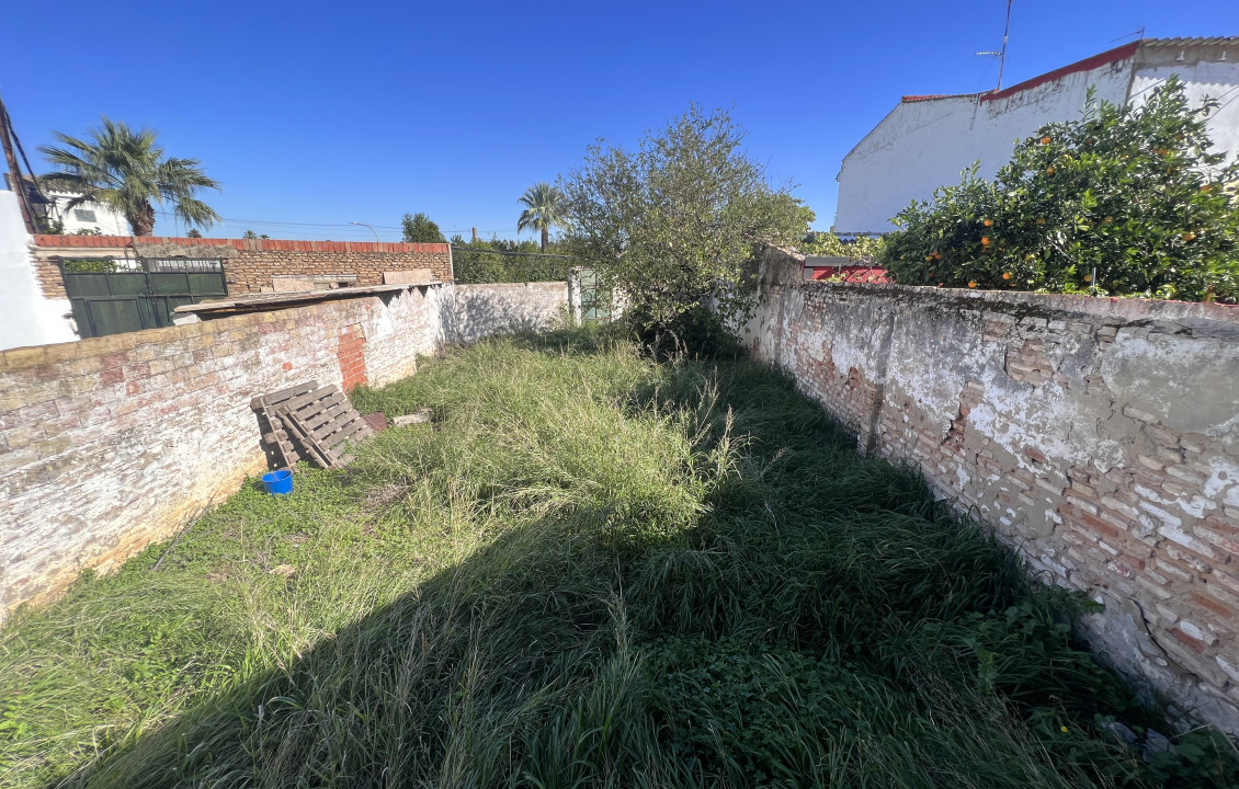 Venta - Fincas y solares - Villamanrique de la Condesa - Calle el Mantillo