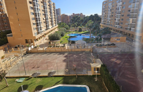 For Sale - Pisos - Alicante - TORERO JO MARI MANZANARES 2(A) Es:3 Pl:04 Pt:DR VI