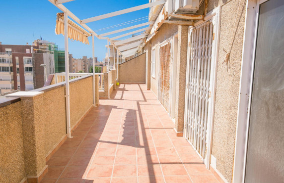 Venta - Piso - Arenales del sol - Zona paseo maritimo