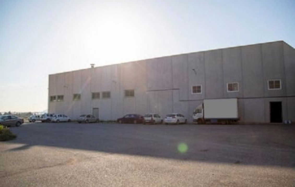 Venta - Industrial unit - Orihuela - Zona Centro