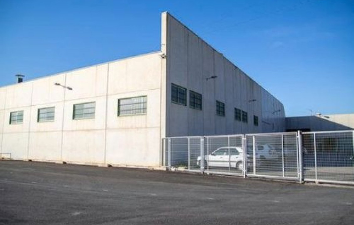 Venta - Industrial unit - Orihuela - Zona Centro