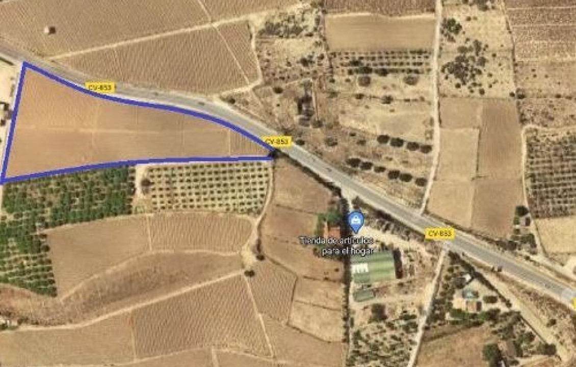 For Sale - Country land - Elche