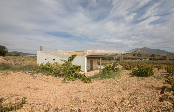 For Sale - Country land - Algueña - Abanilla