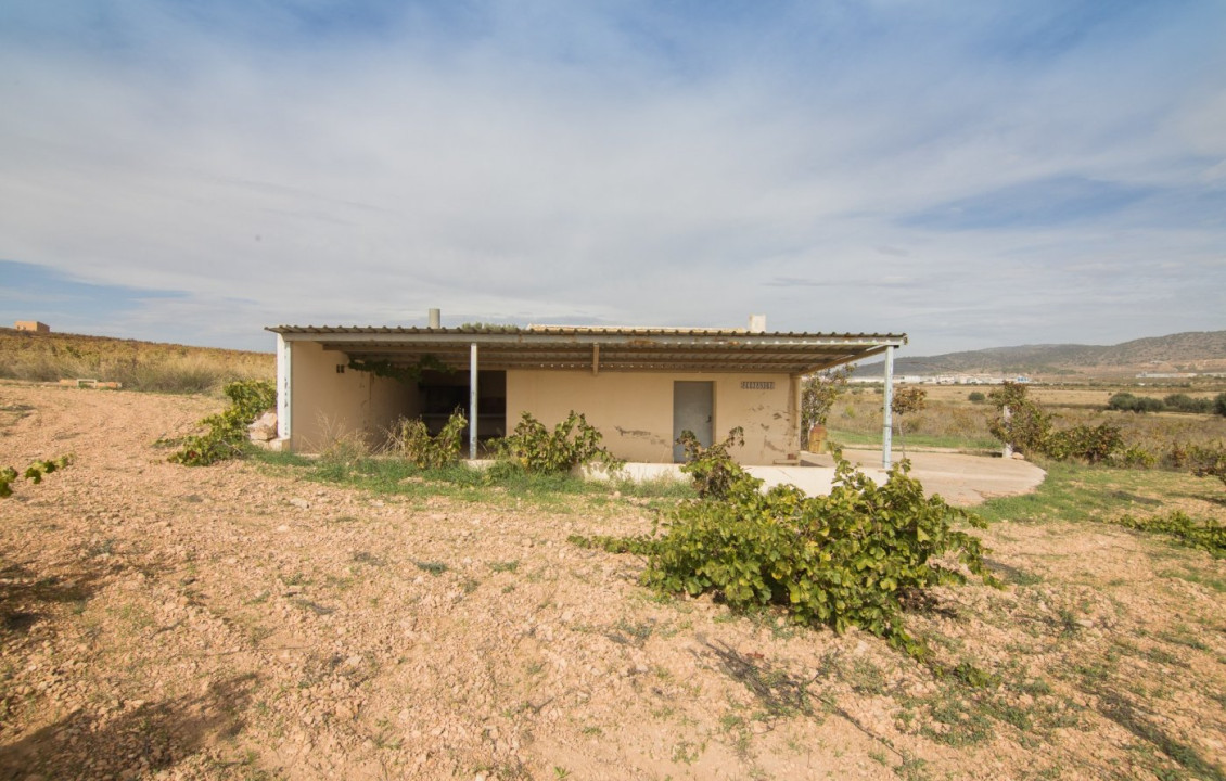 For Sale - Country land - Algueña - Abanilla