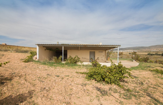 For Sale - Country land - Algueña - Abanilla